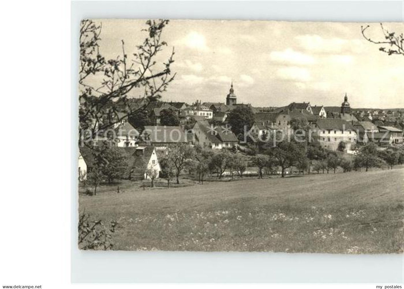 Buchen Odenwald