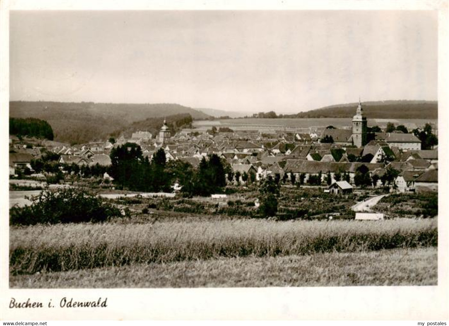 Buchen  Odenwald Panorama