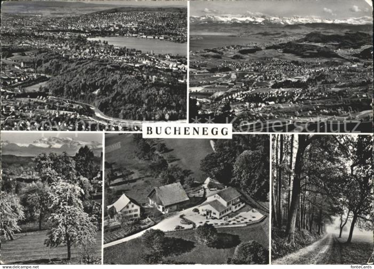 Buchenegg Stallikon ZH Totalansicht Bergrestaurant Buchenegg