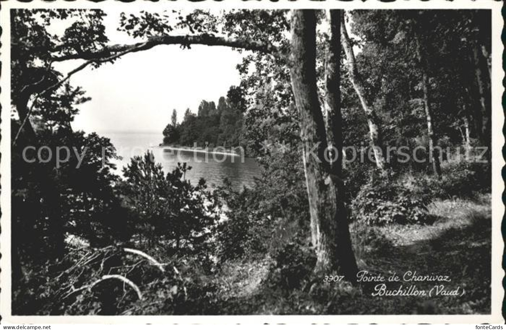 Buchillon Pointe de Chanivaz