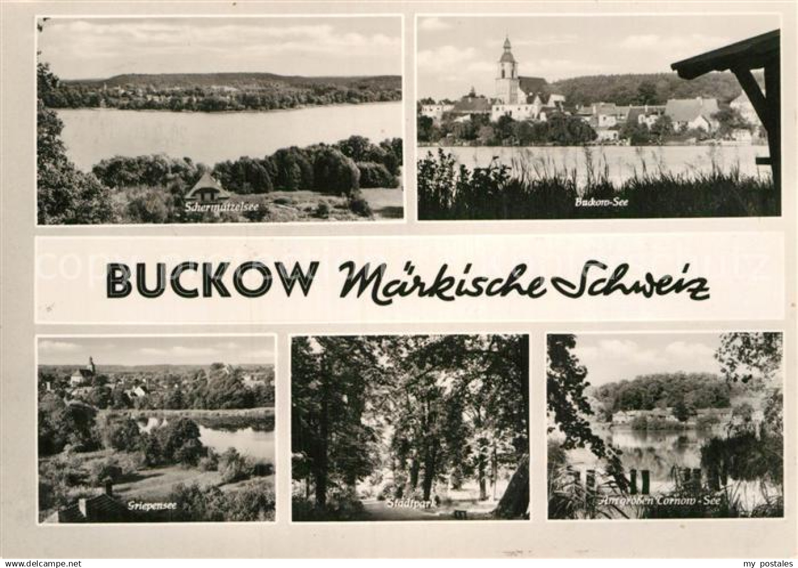 Buckow Maerkische Schweiz Schermuetzelsee Buckow See Griebensee Stadtpark Tornow