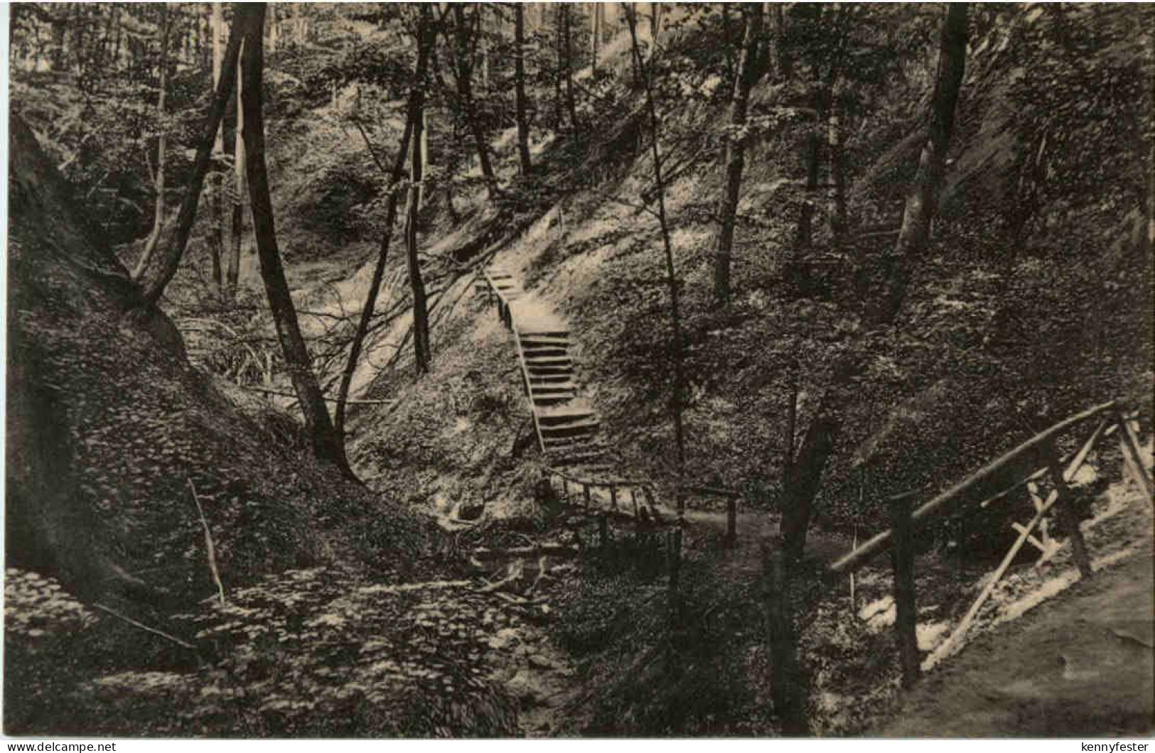 Buckow - Silberkehle