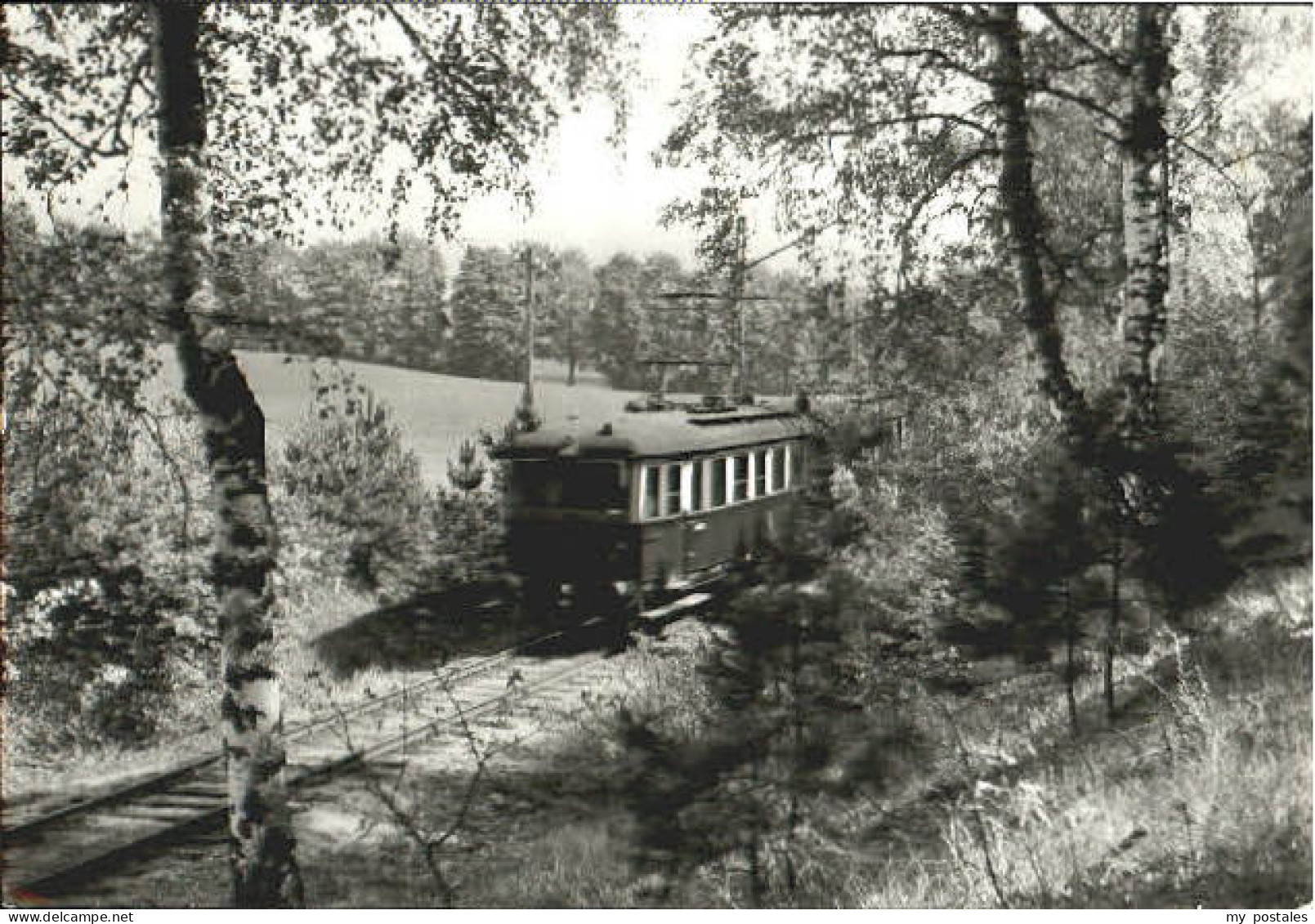 Buckow Waldbahn