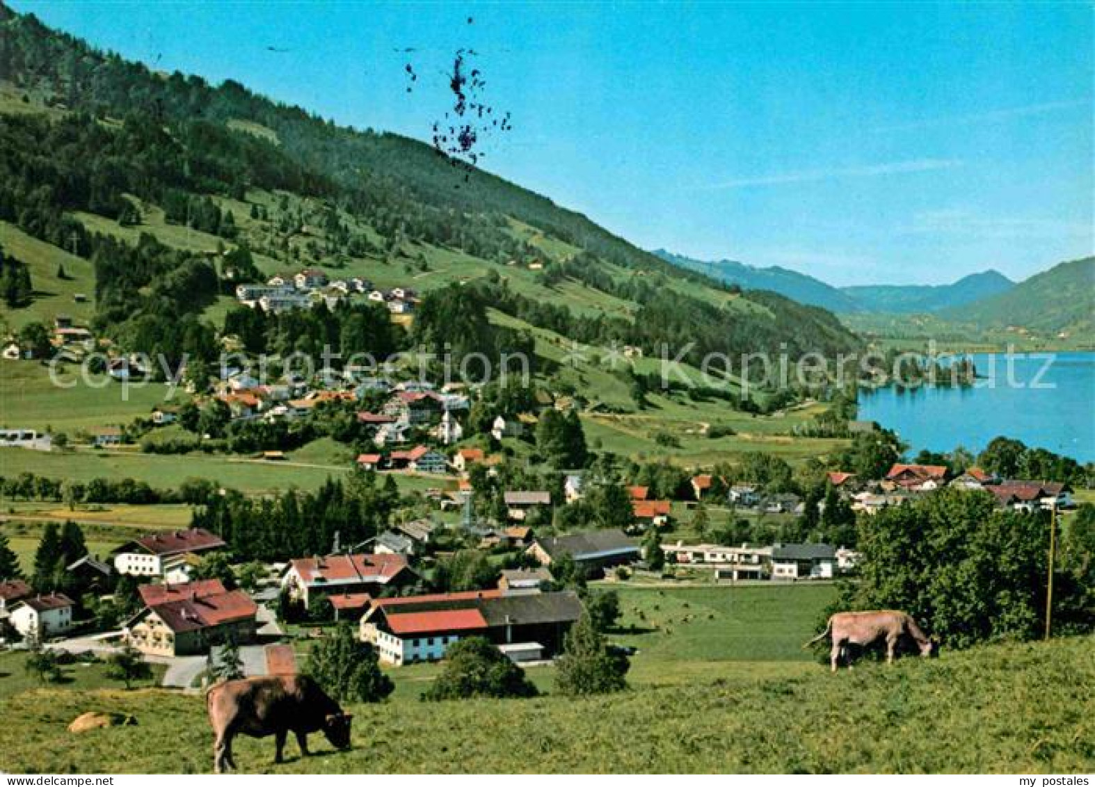Buehl Alpsee Teilansicht