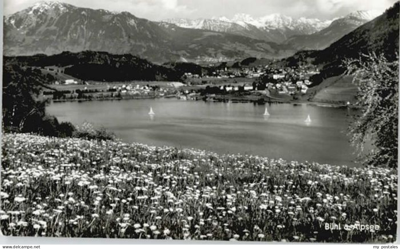 Buehl Baden Buehl