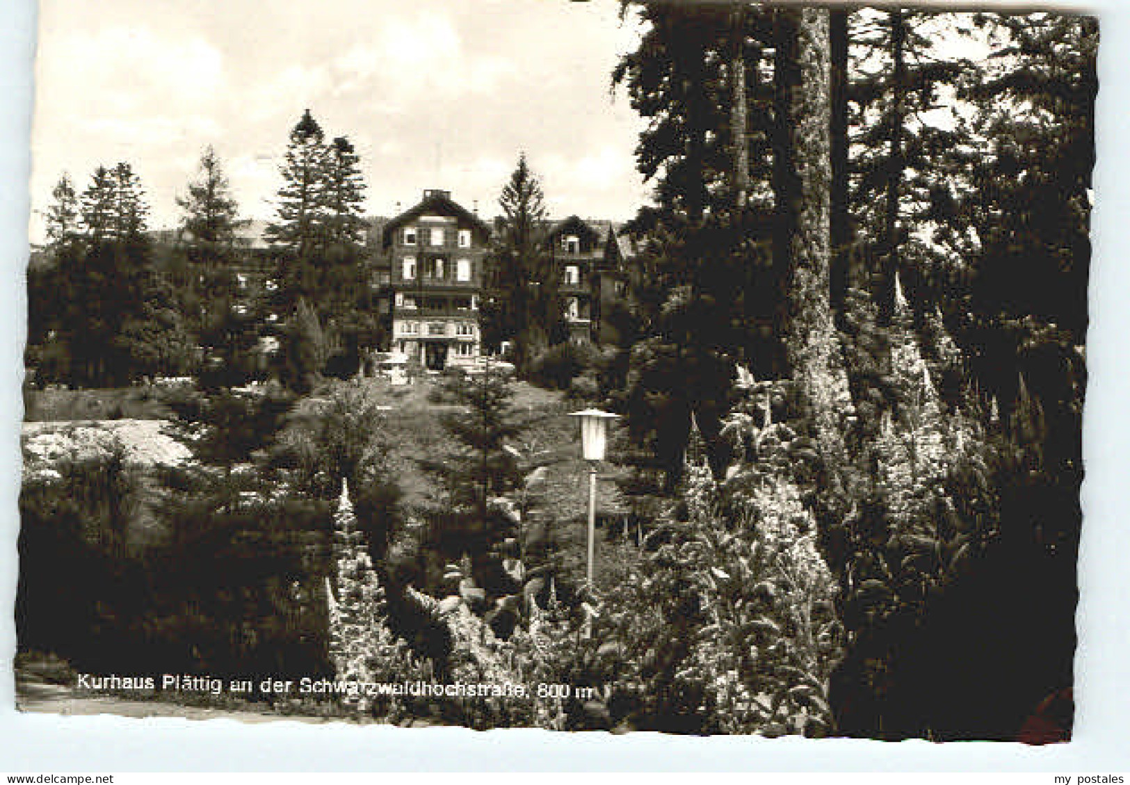 Buehl Baden Buehl Plaettig