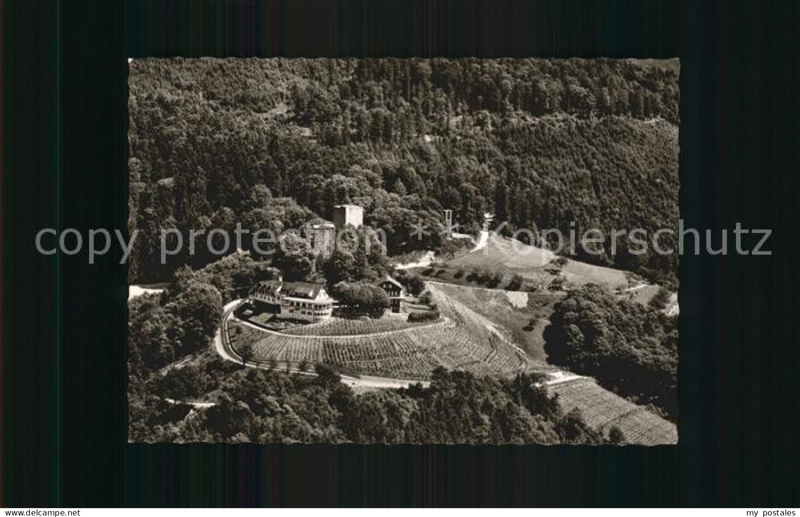 Buehl Baden Fliegeraufnahme Burg Windeck