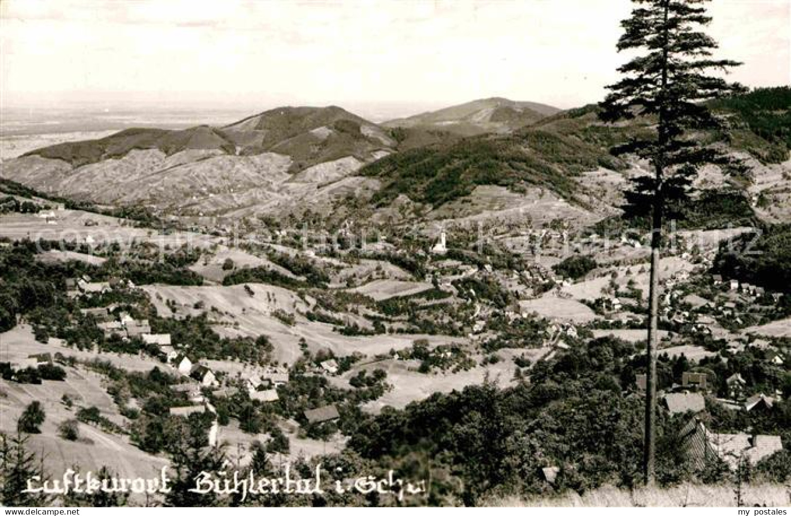 Buehlertal Panorama