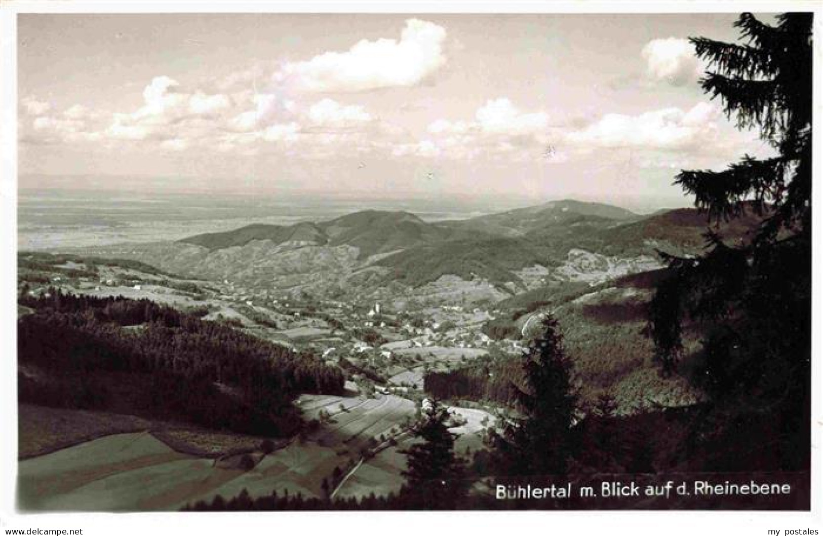 Buehlertal Rheinebene Panorama