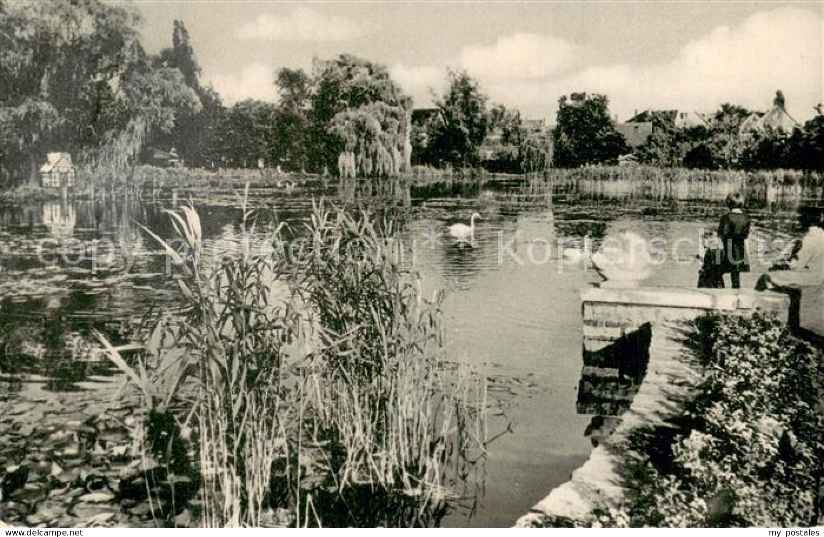 Buende Westfalen Schwanenteich Buergerpark