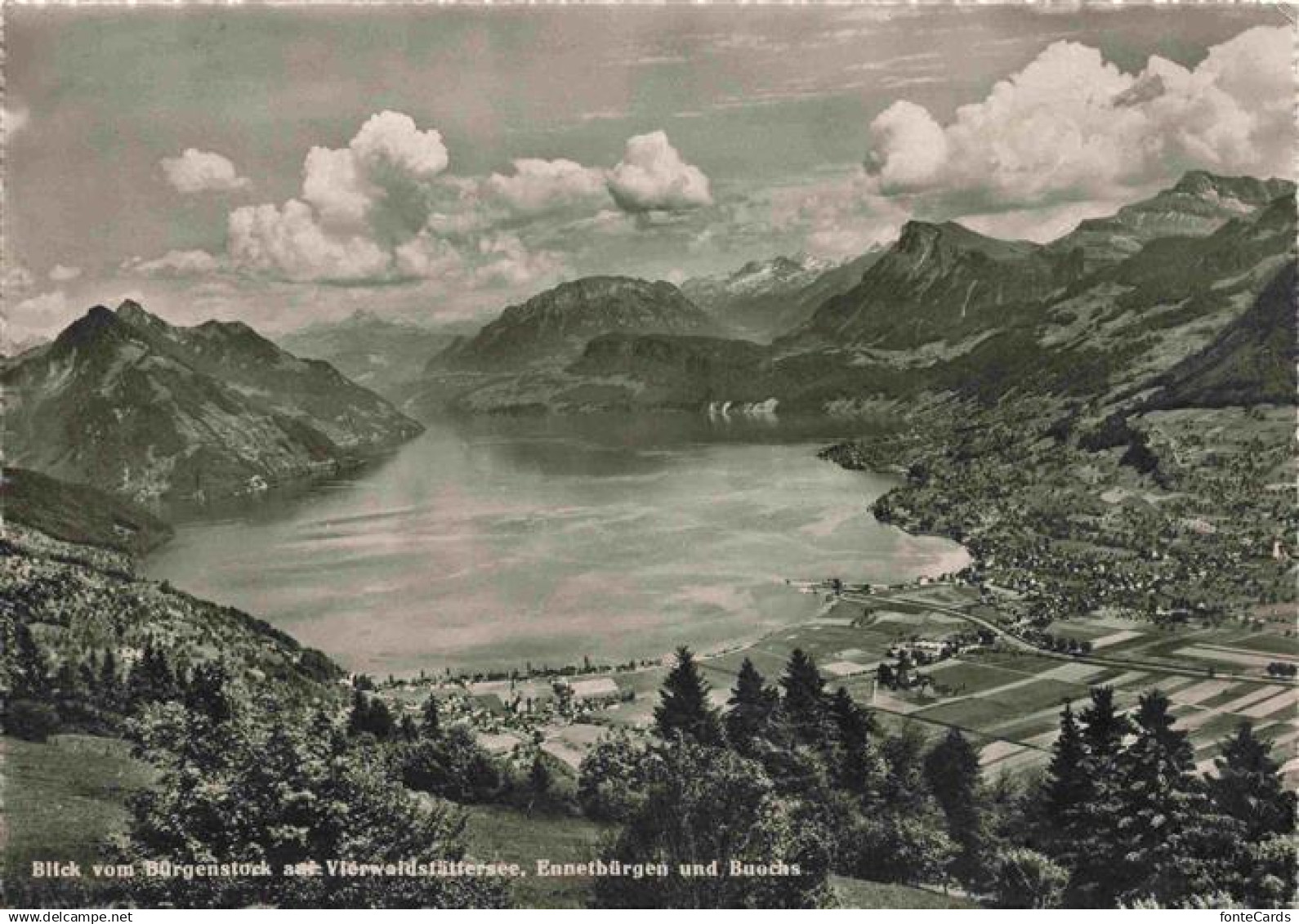 Buergenstock Vierwaldstaettersee NW mit Ennetbuergen und Buochs