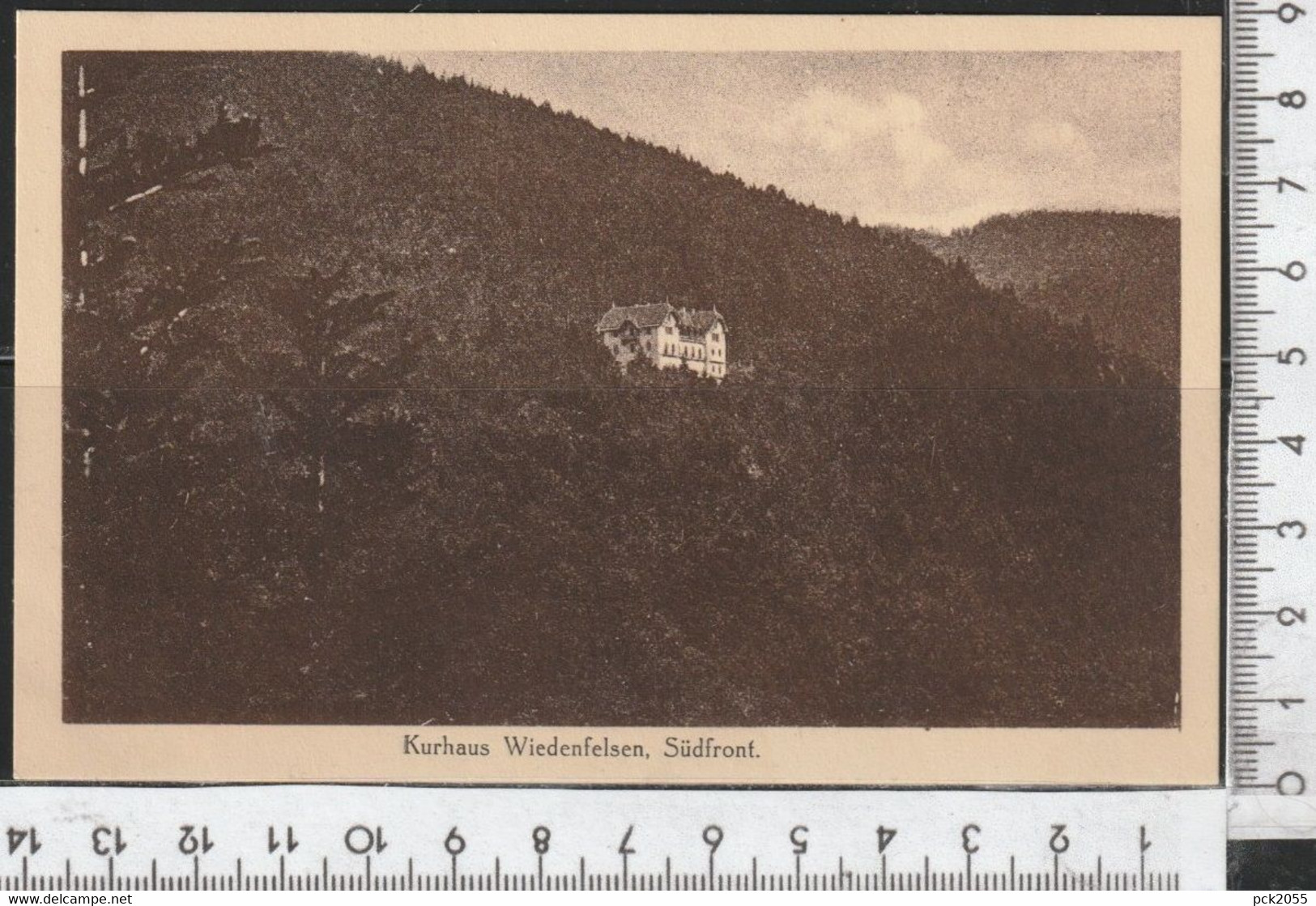 Bühl Kurhaus Wiedenfelsen, Südfront ungebraucht 1923 ( AK 3287 )