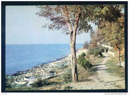 A5316D / Anhialo Pomorie  - BLACK SEA old tree, boat Alley  - Bulgaria Bulgarie Bulgarien  Publ. "Photoizdat" # 156