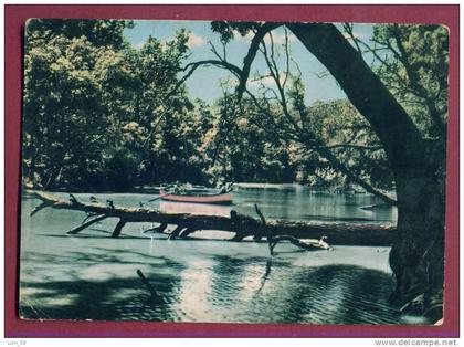 A11330 / RIVER Kamchiya Kamtschija Kamtschia  - Boat on the River -  Bulgaria Publ. "Bulgarian photography" # A-6 / 1960