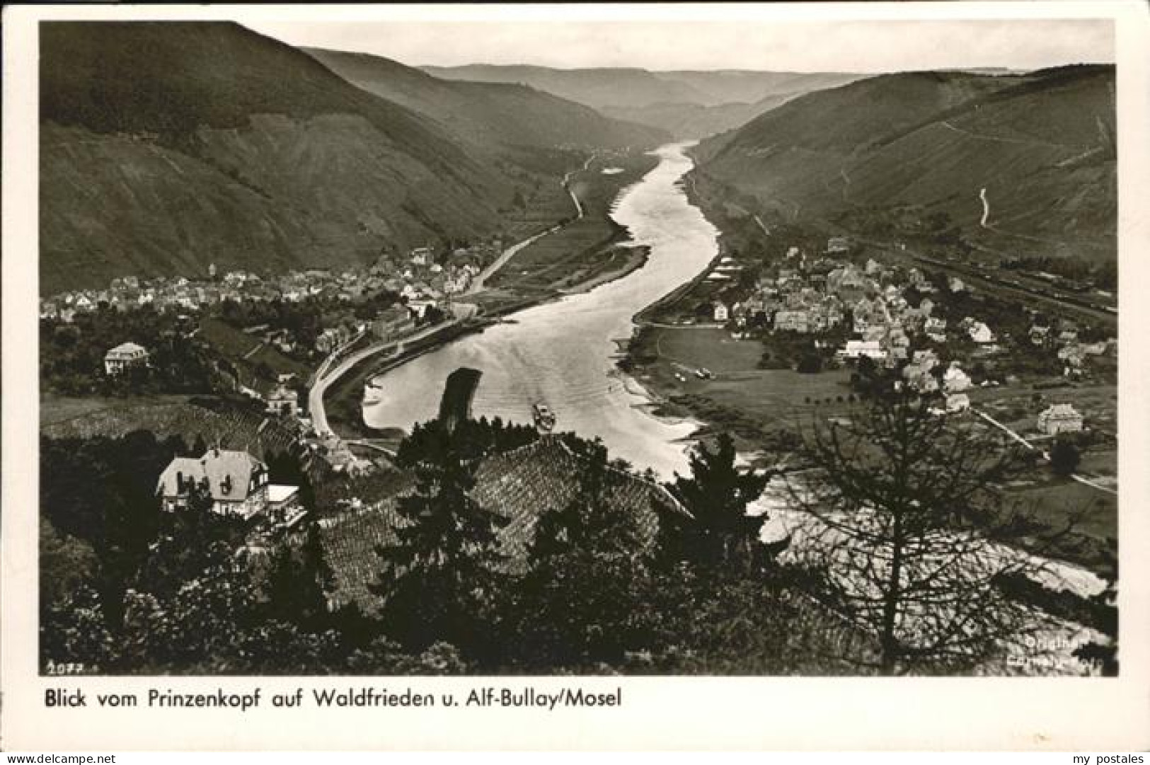 Bullay Mosel Mosel Waldfrieden Alf-Bullay