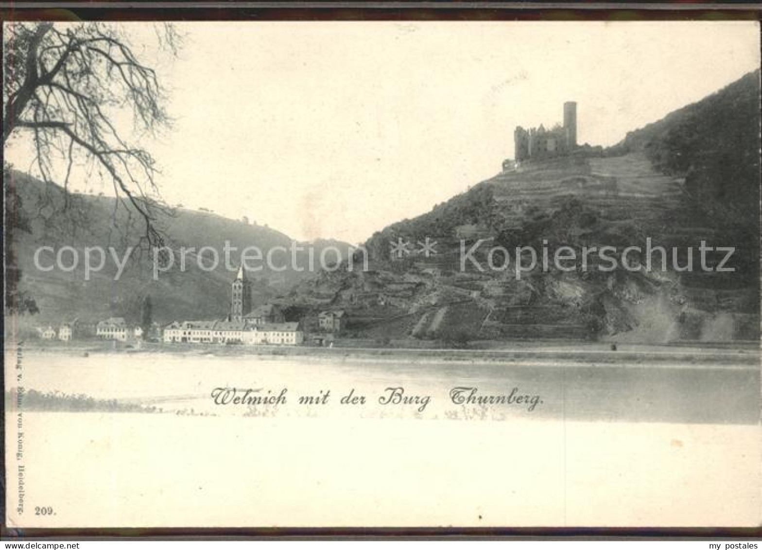 Burg Maus Burg Thurnberg Wellmich