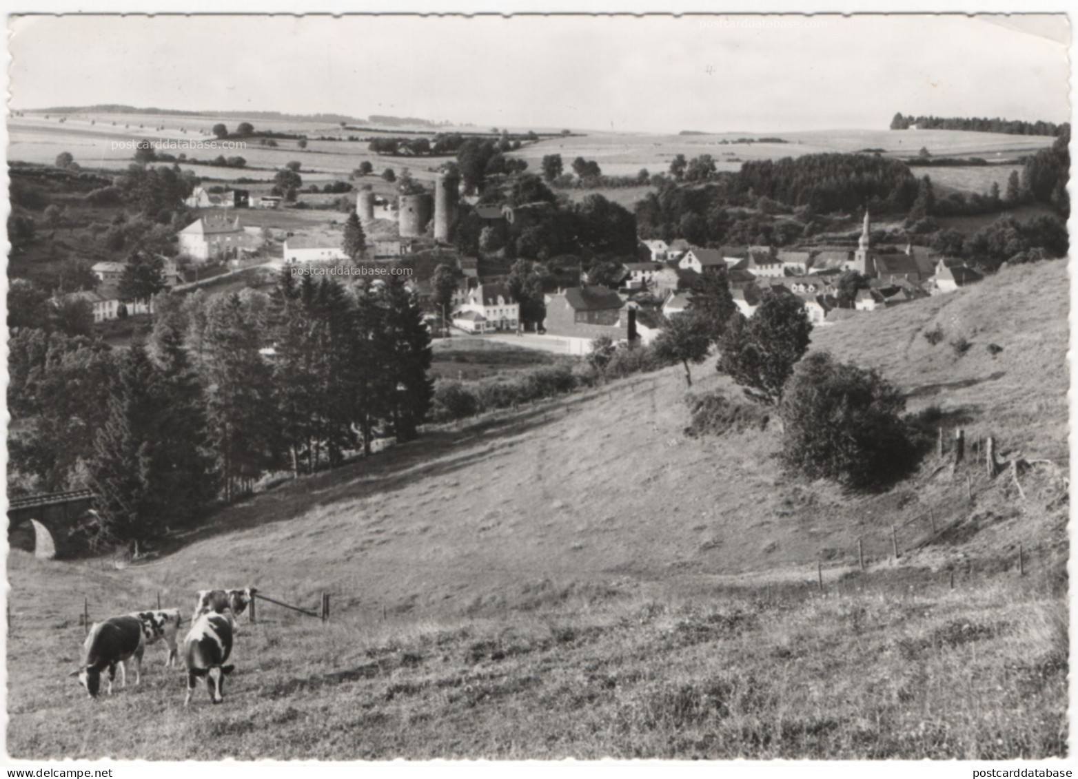 Burg-Reuland - & cow