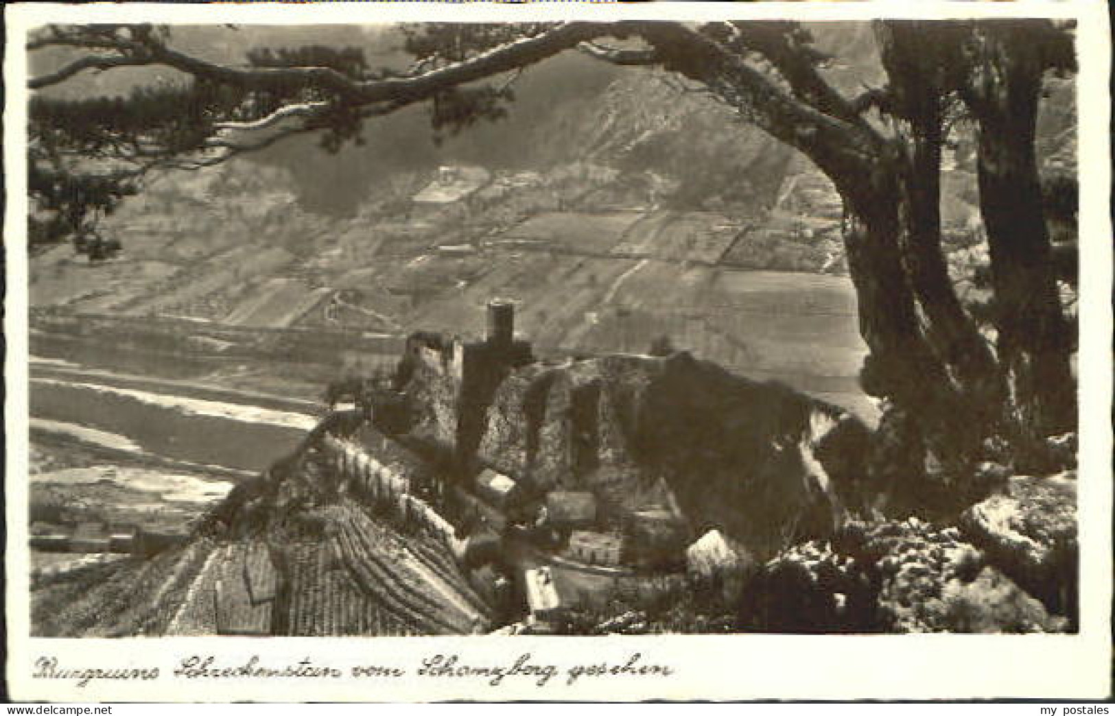 Burg Schreckenstein Burg Strekov