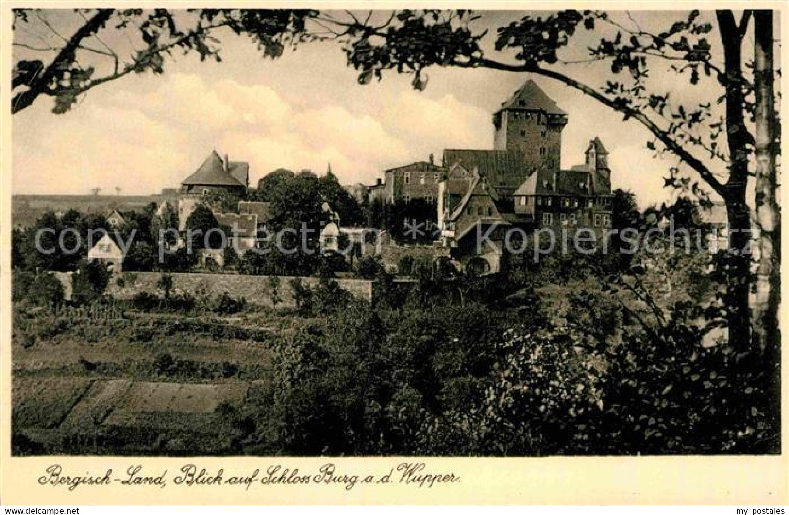Burg Wupper Panorama Burg