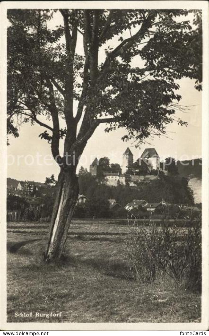 Burgdorf Bern Schloss Burgdorf