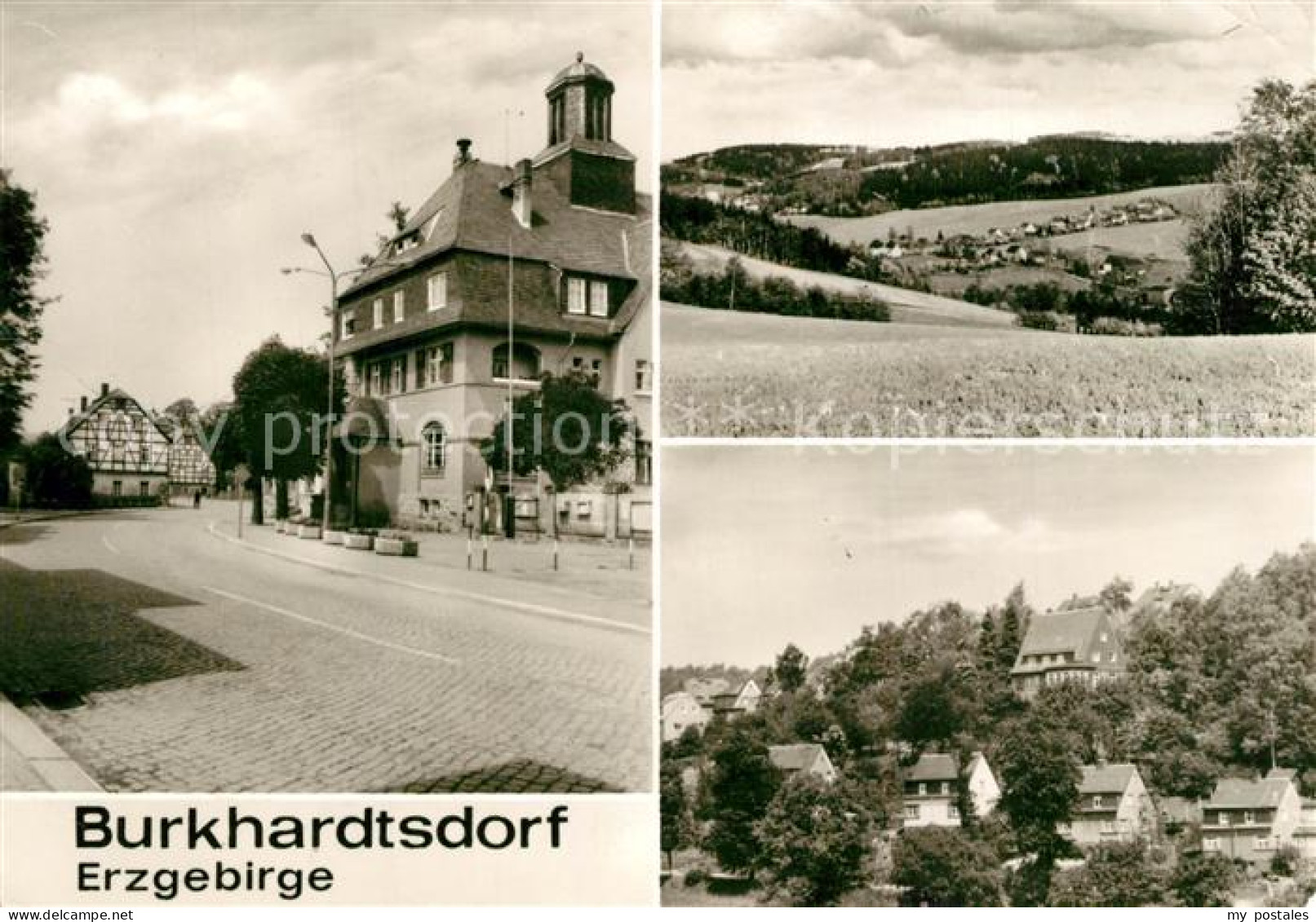 Burkhardtsdorf Panoramen Ortsansicht