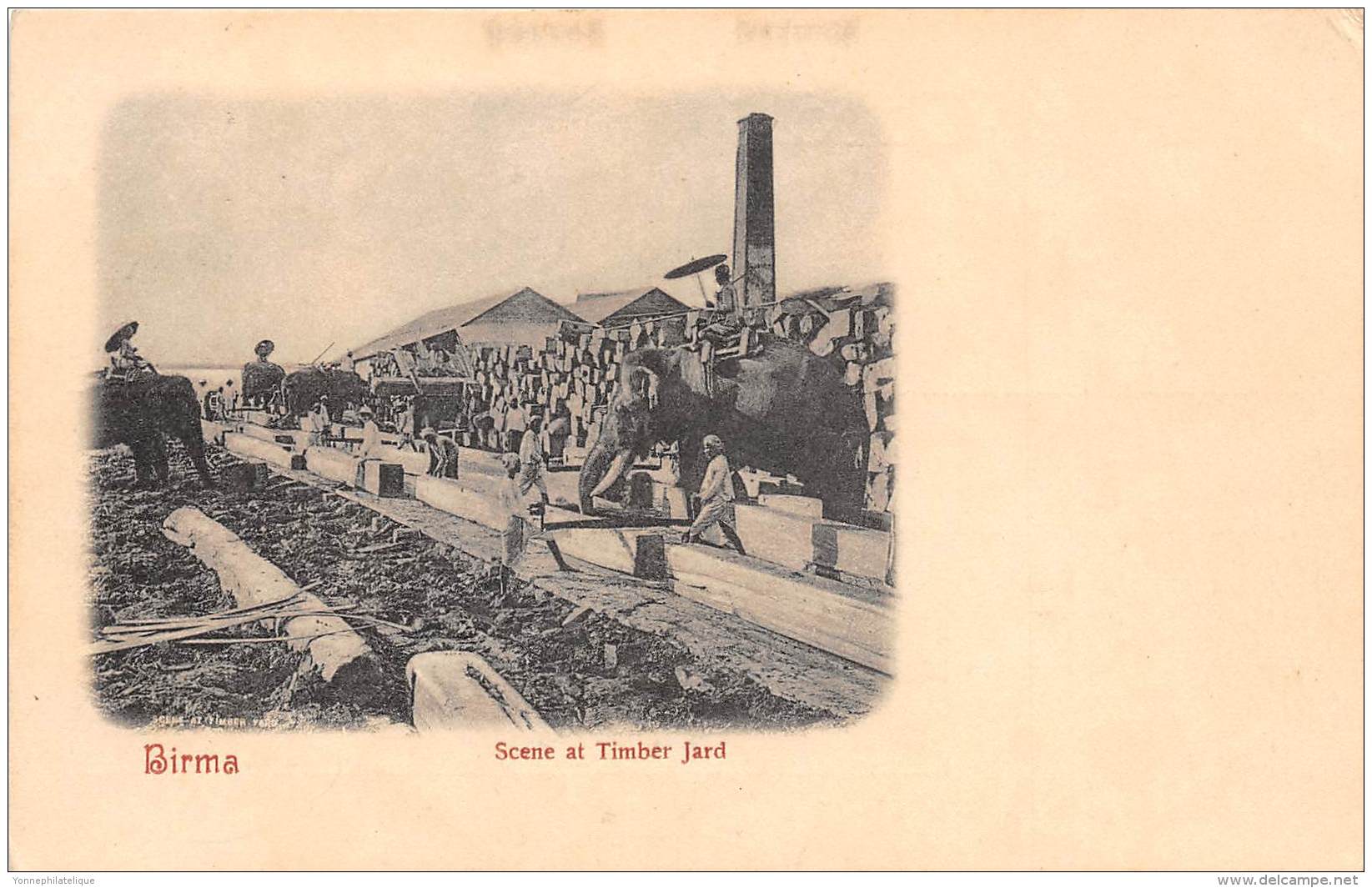 BURMA / MYANMAR - Birma - Scene at Timber Jard - scieurs de long - beau cliché