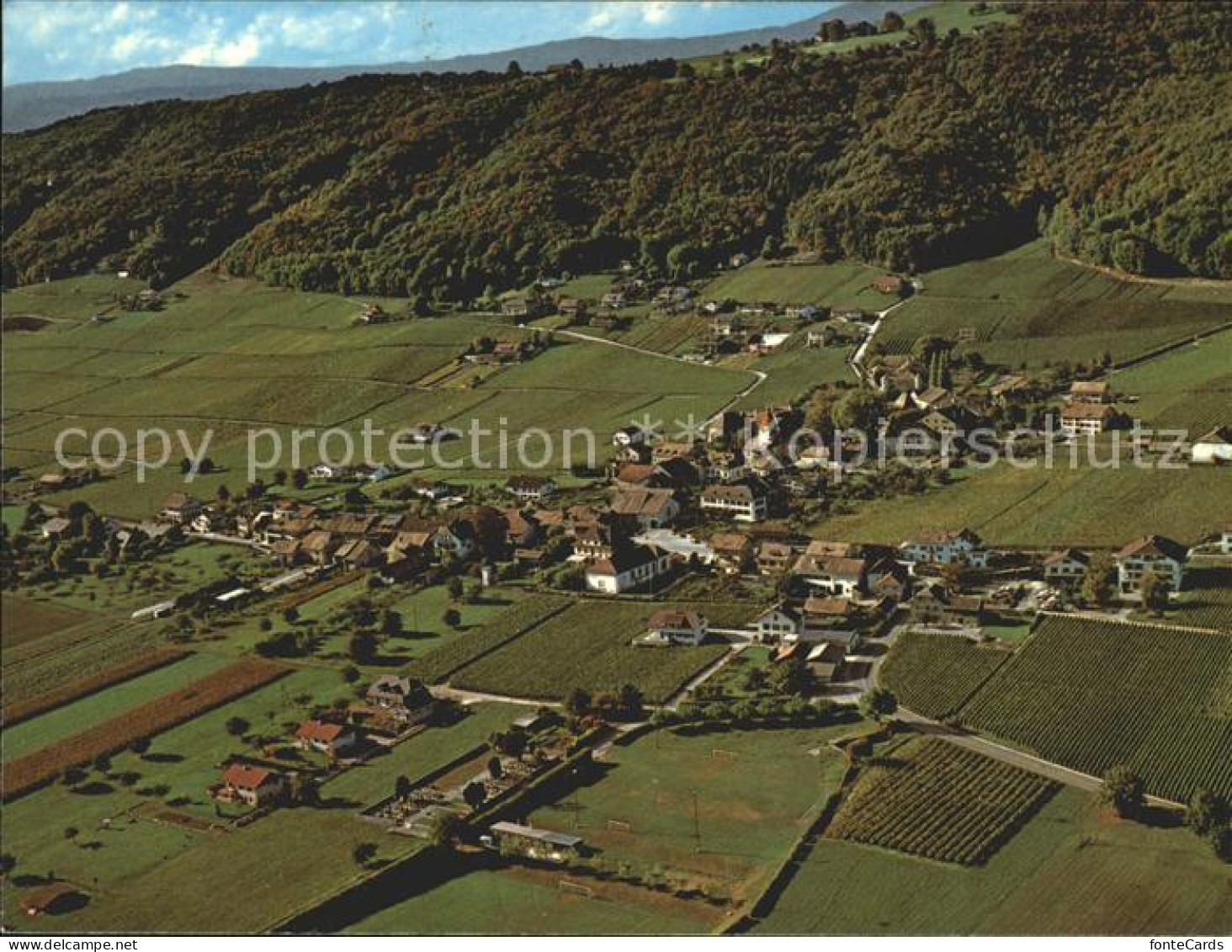 Bursins Fliegeraufnahme