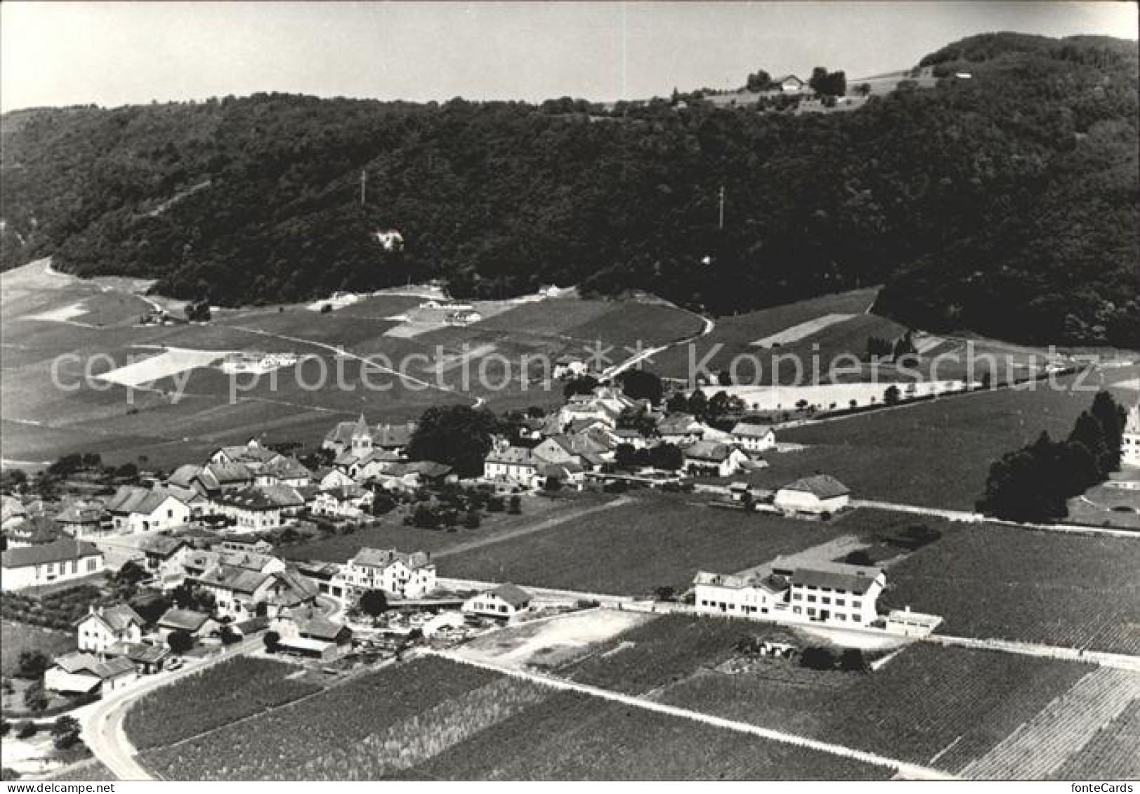Bursins Vue aerienne