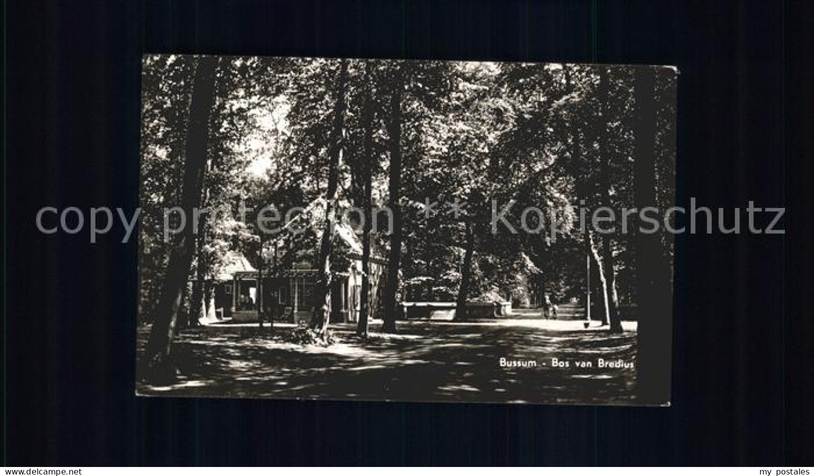 Bussum Bos van Bredius