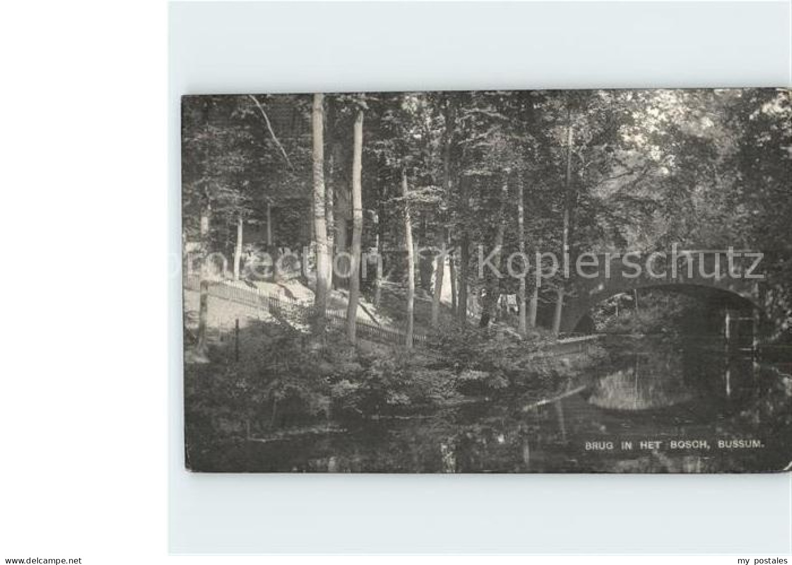 Bussum Brug in het Bosch