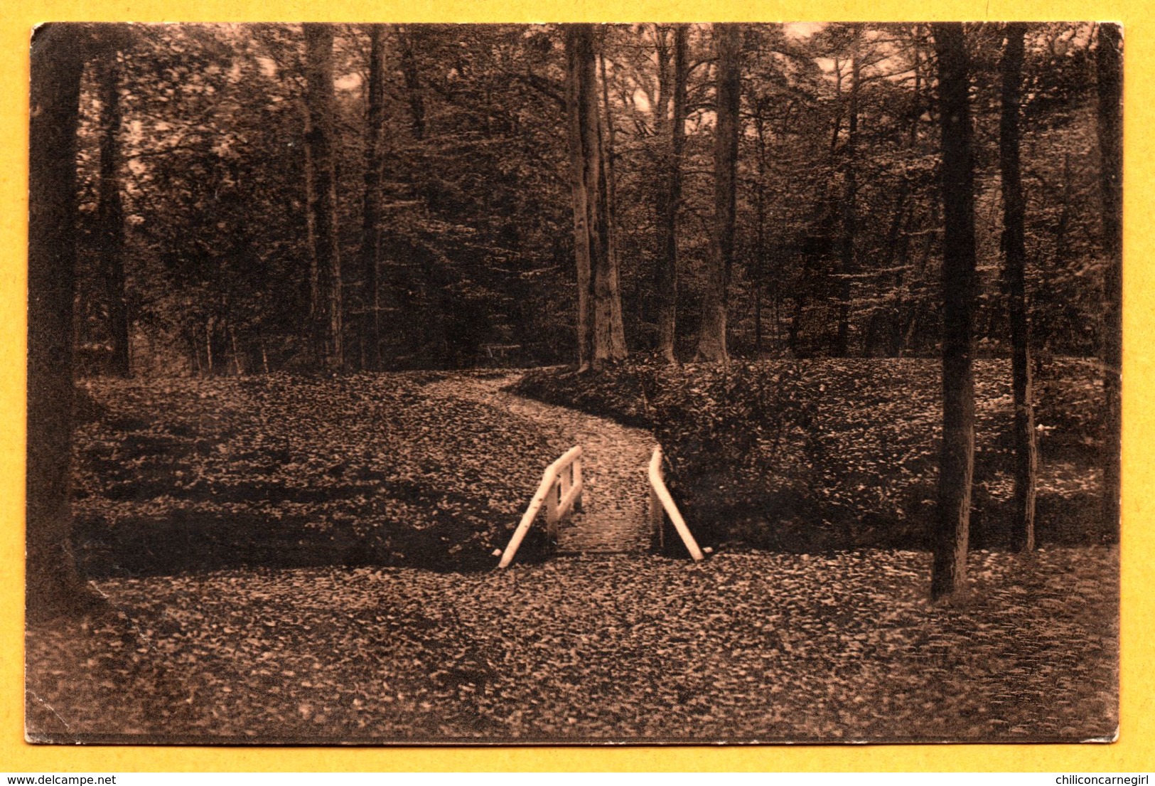 Bussum - Bruggetje in Bantam - Uitg. NAUTA - 1927