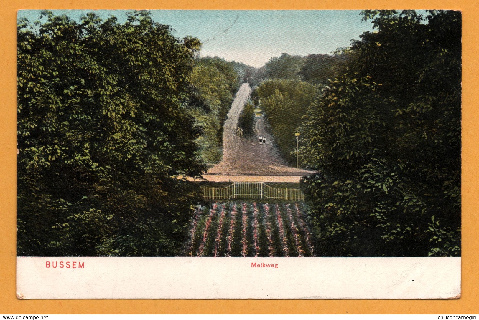 Bussum - Bussem - Melkweg - TRENKLER Co 1905 - Colorisée