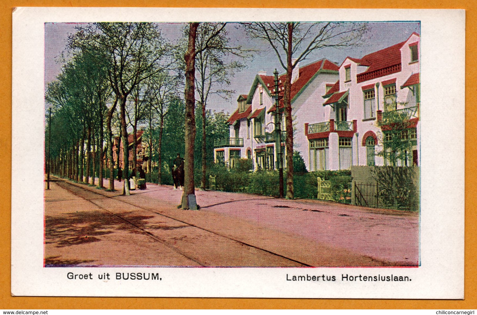 Bussum - Groet uit Bussum - Lambertus Hortensiuslaan - Animée