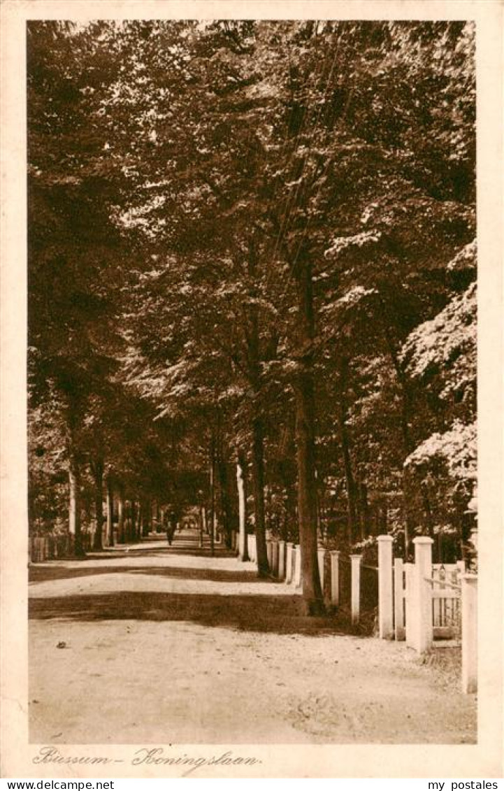 Bussum NL Koningslaan