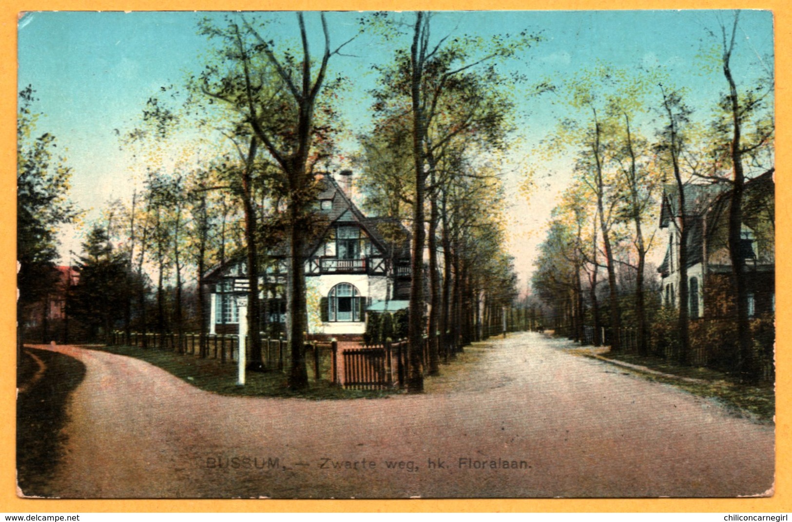 Bussum - Zwarte weg hoek. Floralaan - Uitg. NAUTA - 1913 - Oblit. BUSSUM vers ALPERDOORN