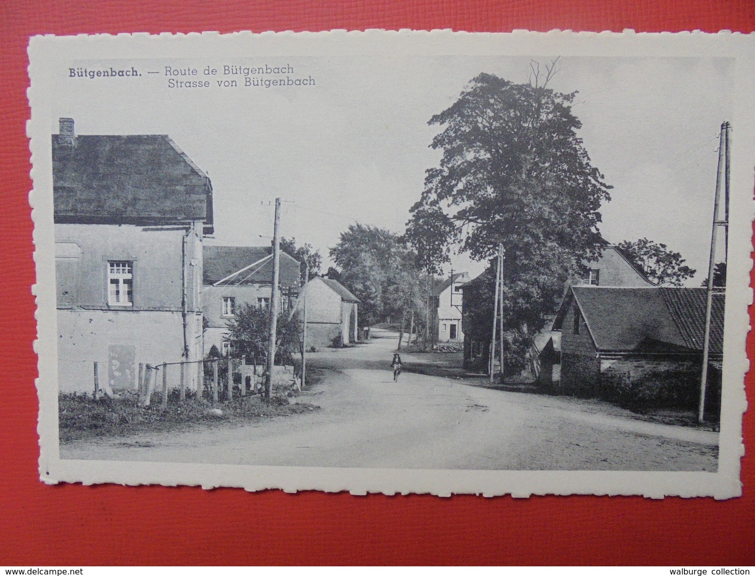 Bütgenbach :Route de Bütgenbach (B309)