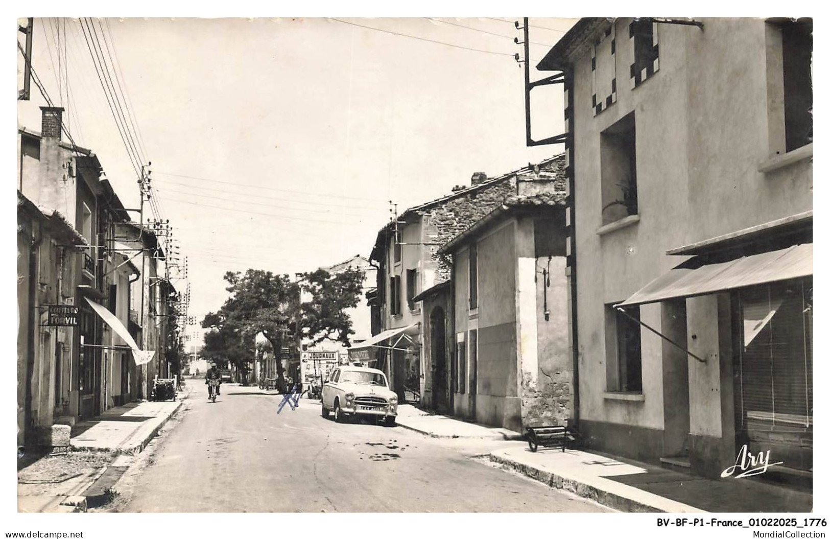 BV-BFP1-0890-84 - MORIERES-LES-AVIGNON - La route de vedène