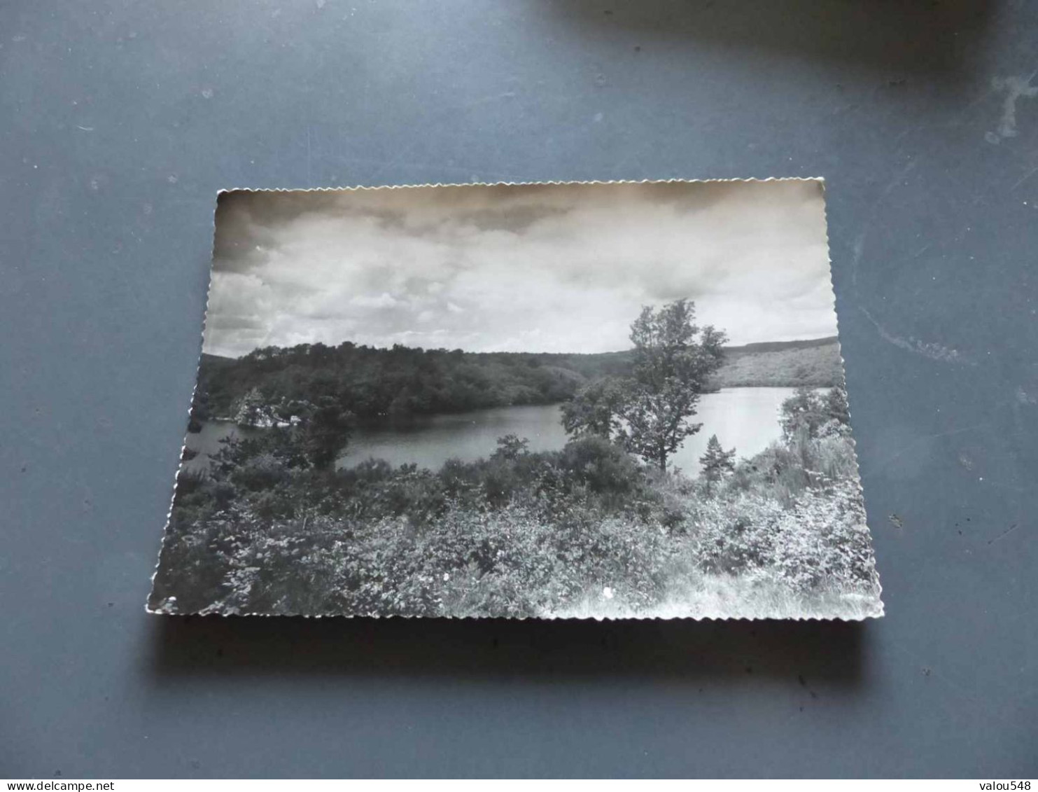 C-9118 , CPSM,  CAUREL, Le Lac de Guerlédan vu du Rond Point