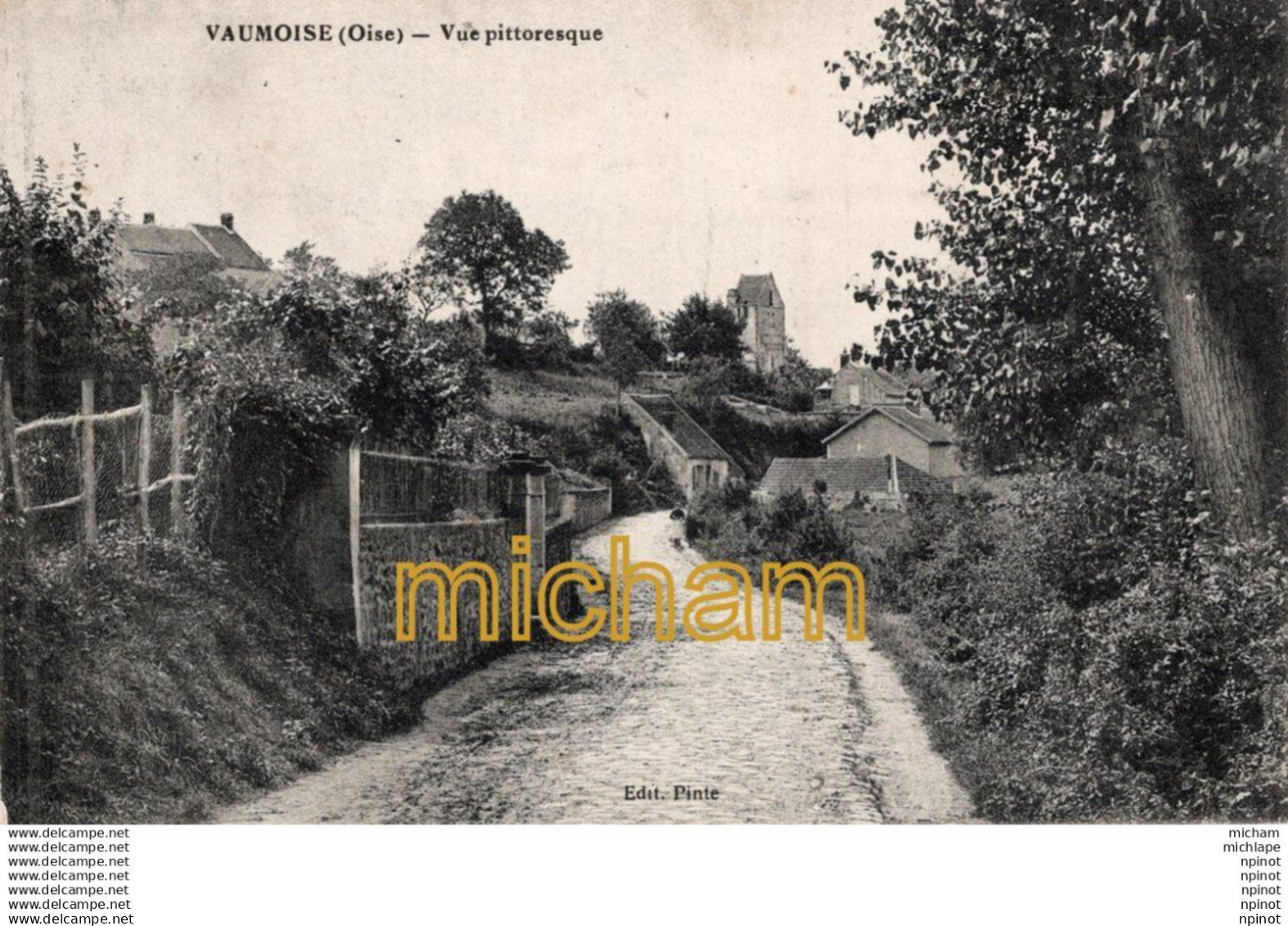 C P A  60  - VAUMOISE  - vue pittoresque