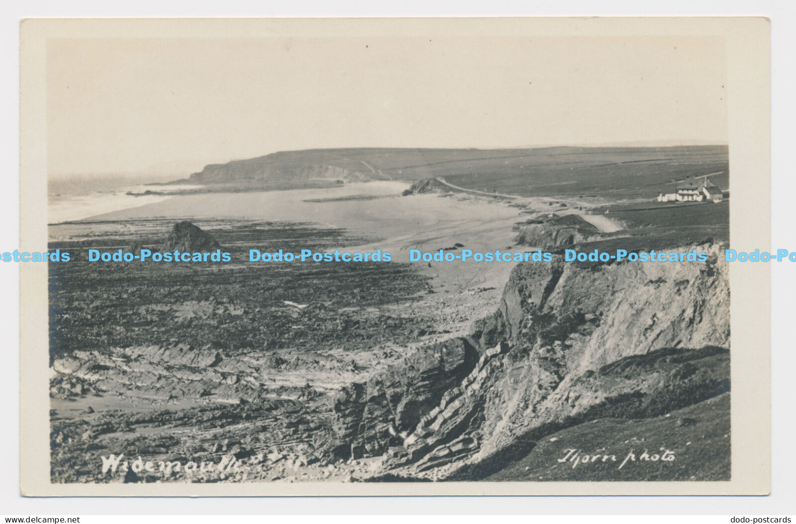 C005584 Widemouth. Thorn Photo