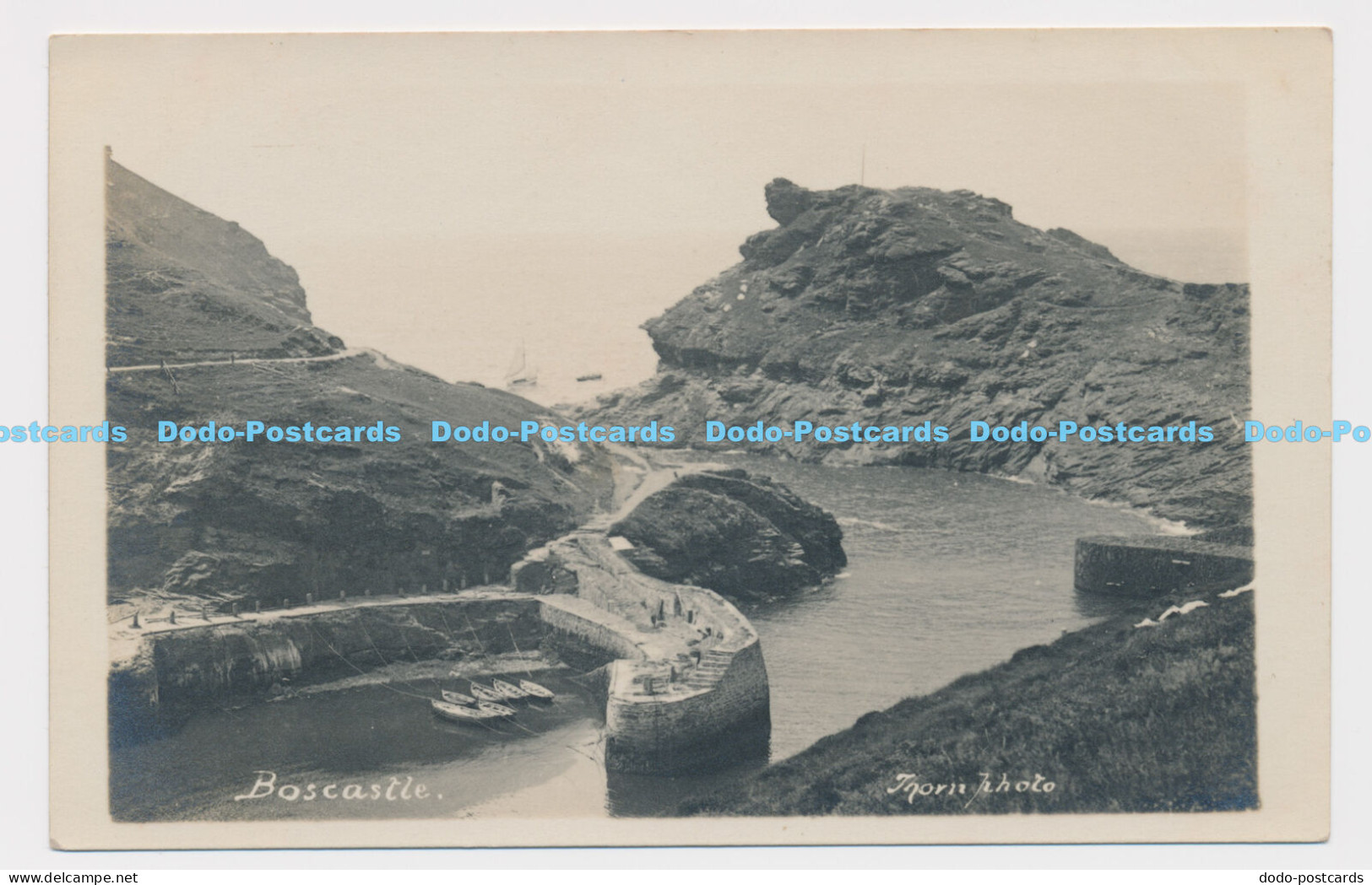 C005615 Boscastle. Thorn Photo