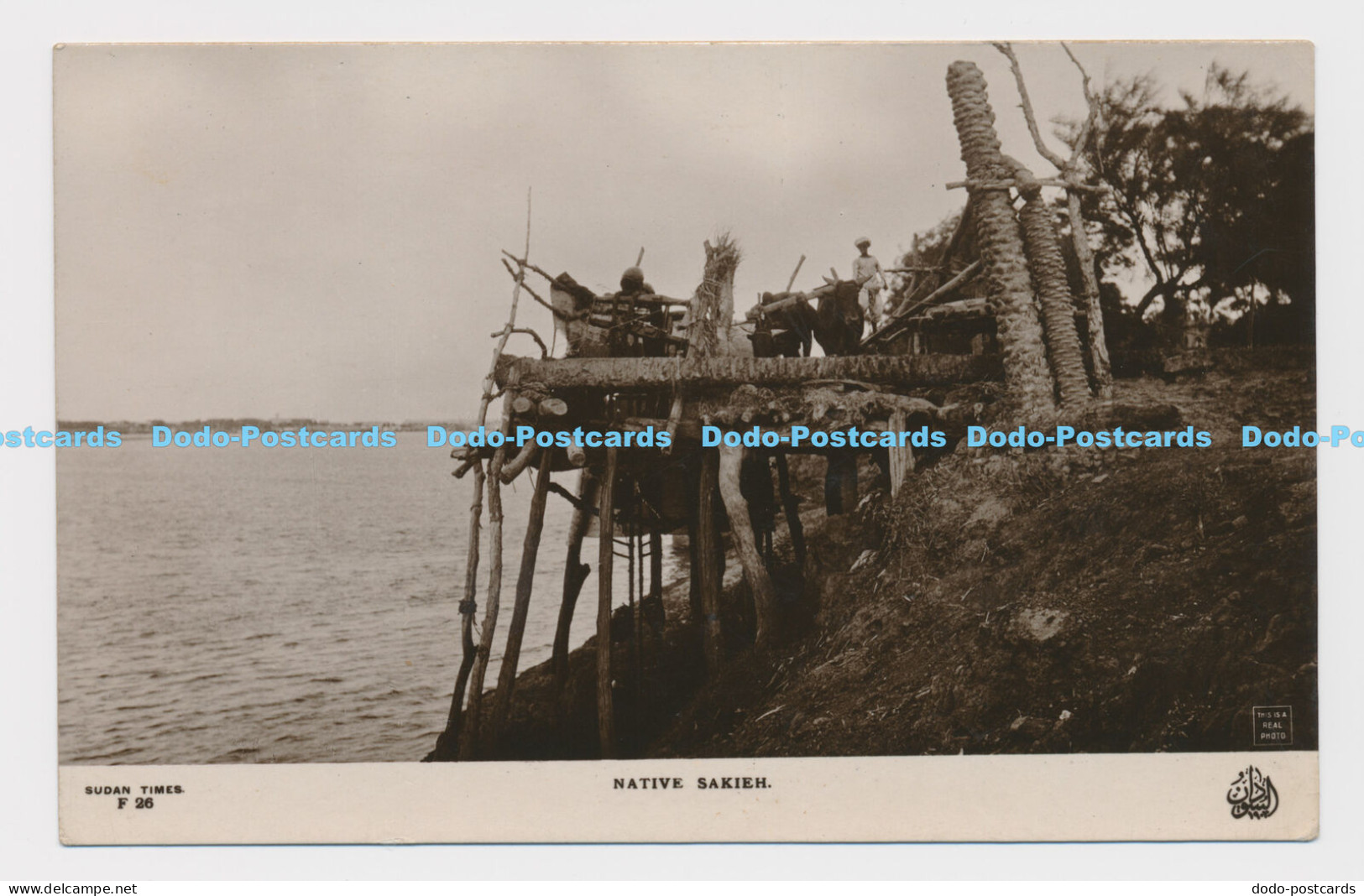 C007266 Sudan Times D 26. Native Sakieh. RP. Sudan Times Post Card Series