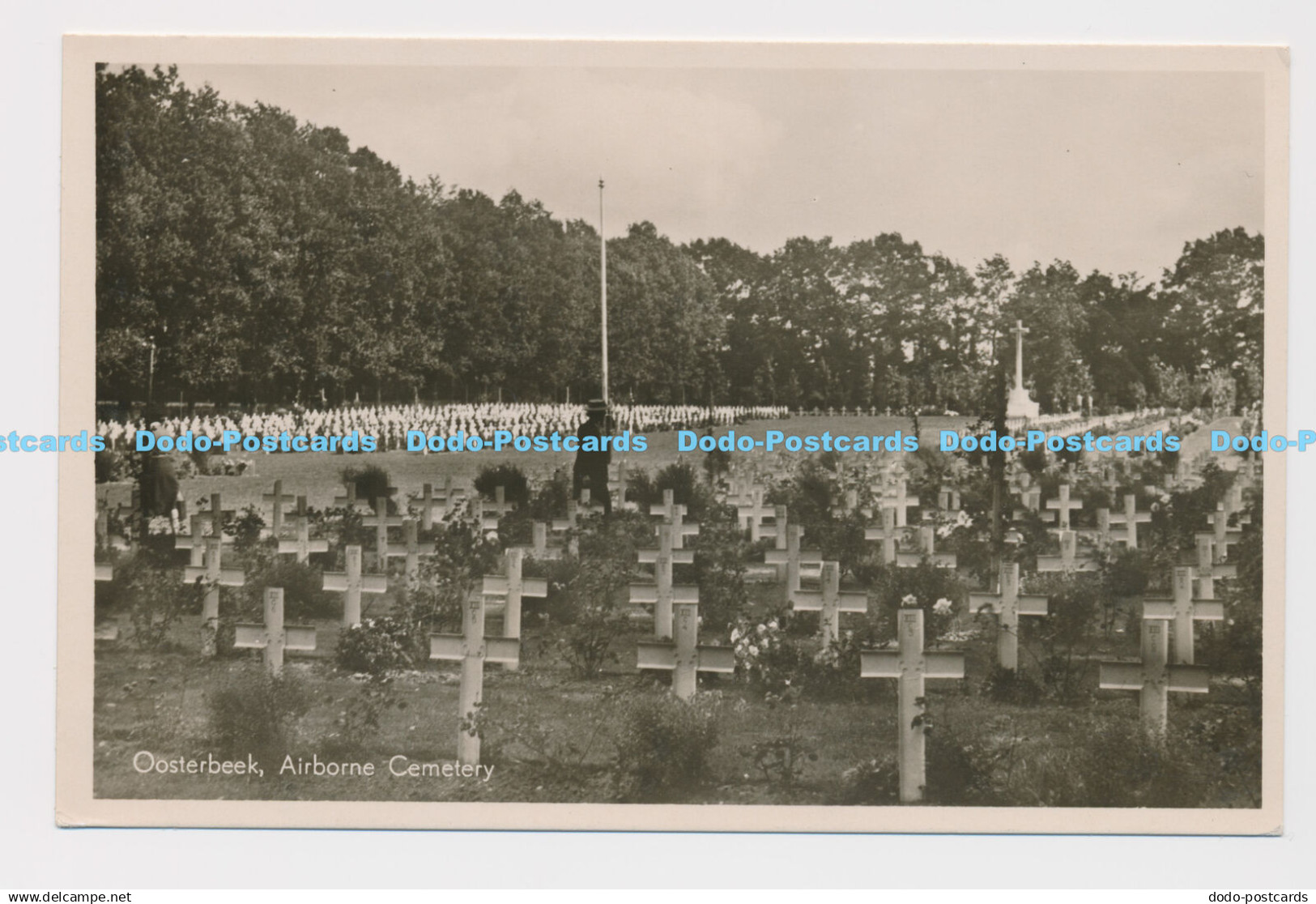 C010518 Oosterbeek. Airborne Cemetery. Jos Pe