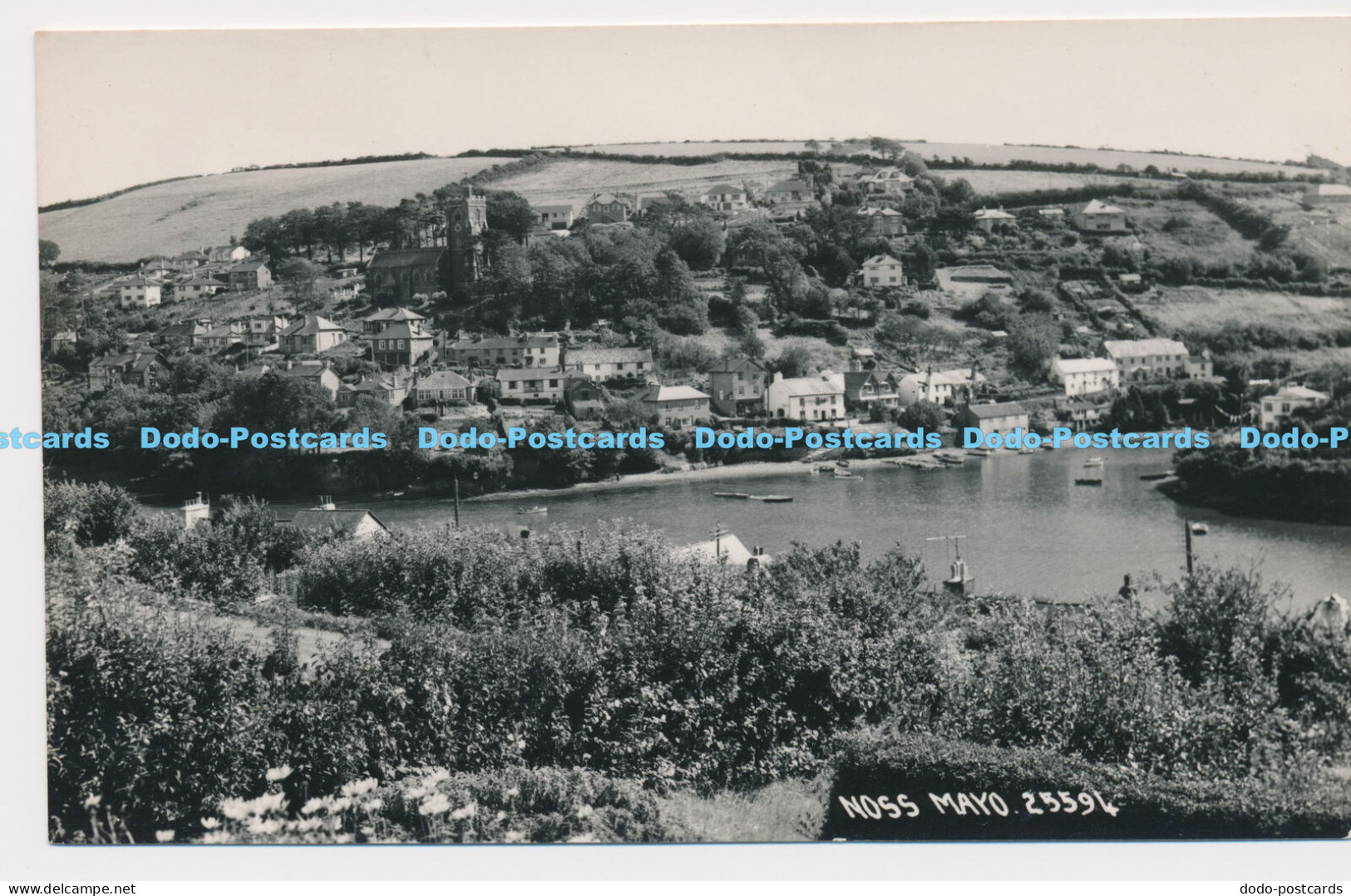 C018367 Noss Mayo. Chapman. RP. Postcard