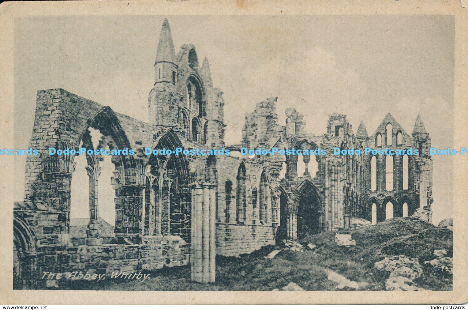 C024634 The Abbey. Whitby