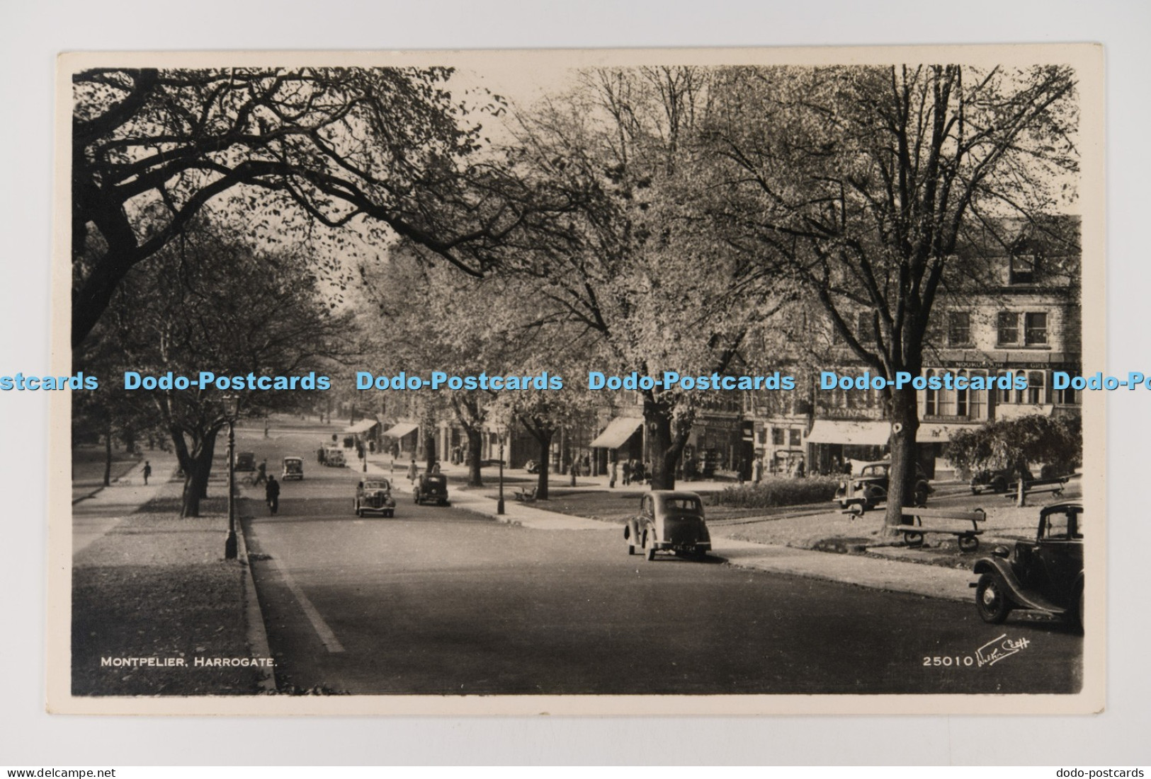 C030648 Montpelier Harrogate Walter Scott Bradford RP