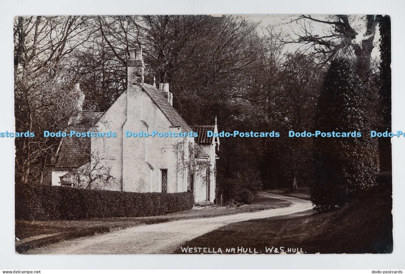 C032661 Westella Nr Hull East Yorkshire W and S Hull W J Wellsted