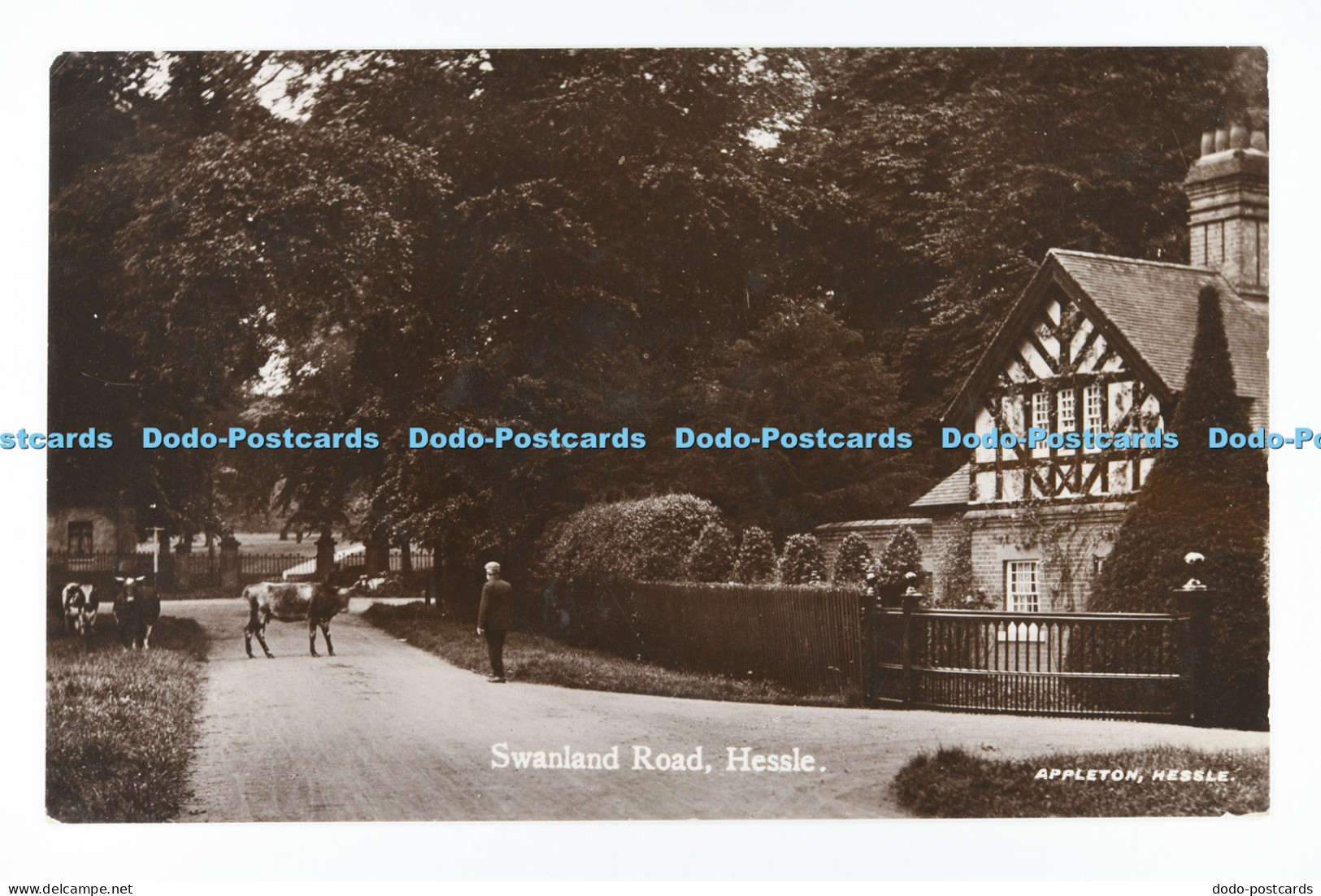 C032998 Hessle Swanland Road East Yorkshire Appleton