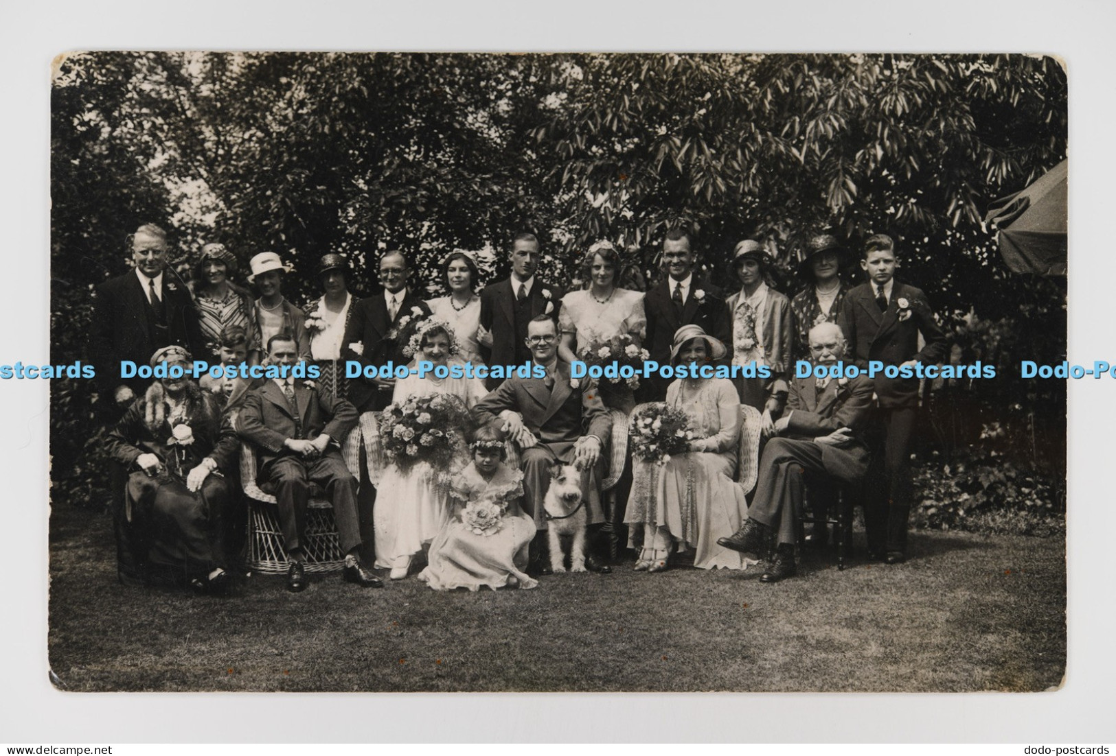 C033209 Wedding Photo. Postcard