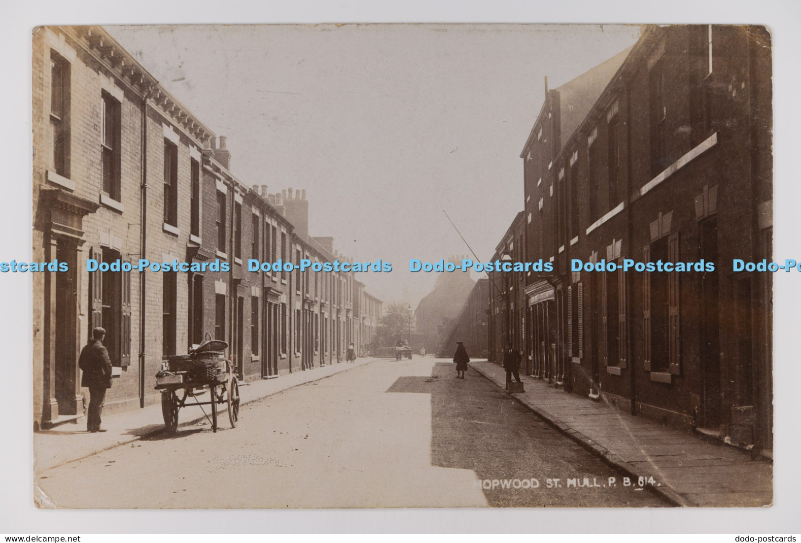 C034348 Hopwood St Hull Yorkshire PM Hull 1905 Real Photo